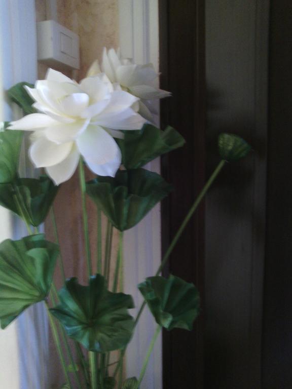 Ostiense Guest House Rome Bagian luar foto