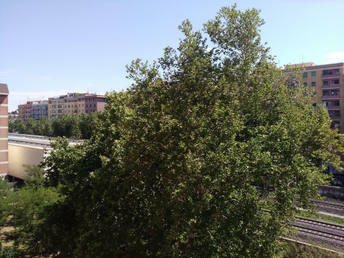 Ostiense Guest House Rome Bagian luar foto